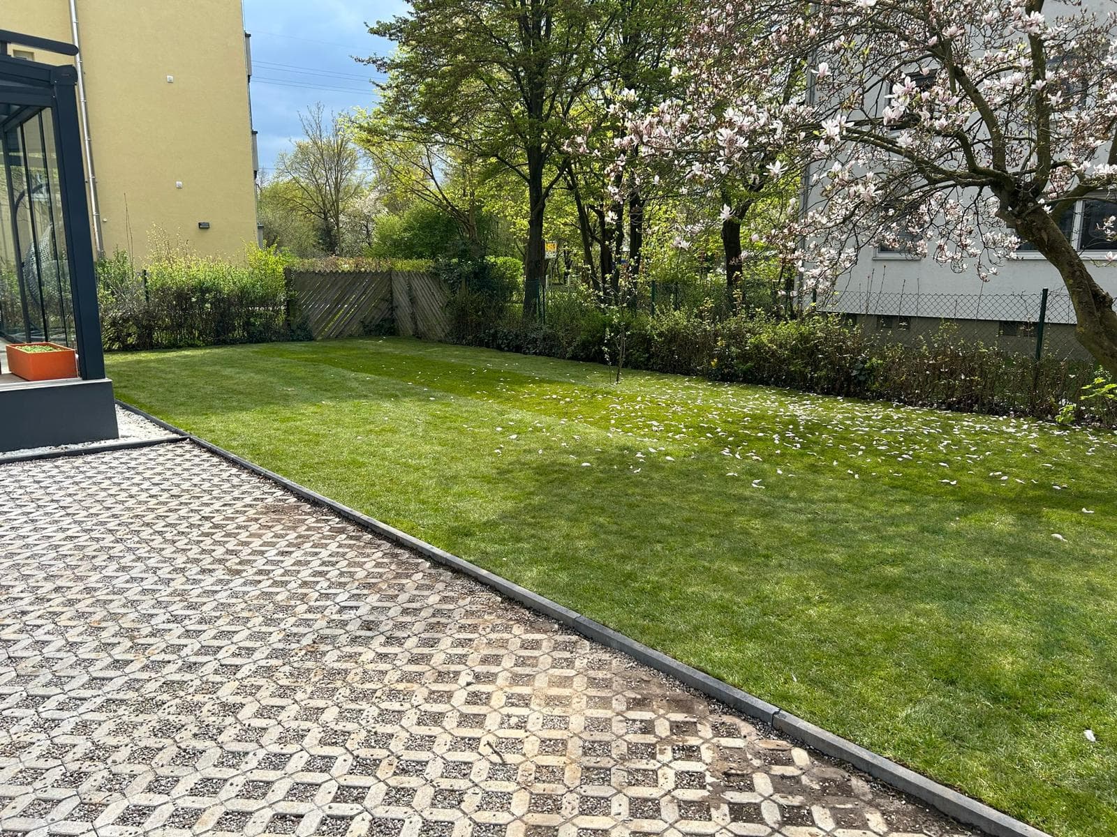 Gepflegte Gartenanlage mit frischem Rollrasen, Natursteinpflaster und blühendem Baum